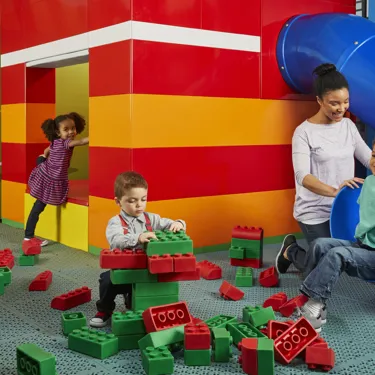 Duplo Farm