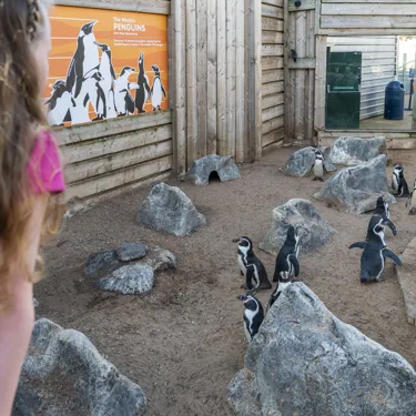 Sealife Hunstanton 082