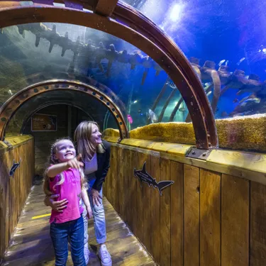 Sealife Hunstanton 138