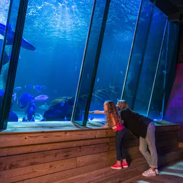 Sealife Hunstanton 128