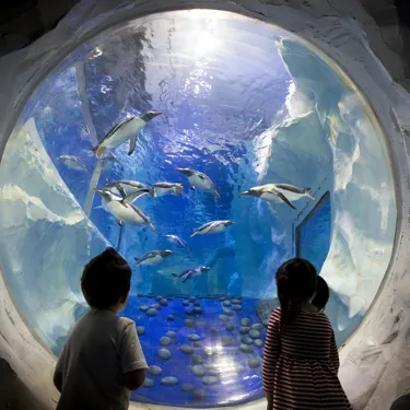 SEALIFE Penguin Colony With Children 1