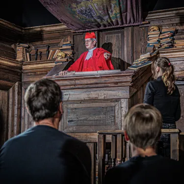Judge