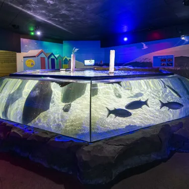 Sealife Hunstanton 155