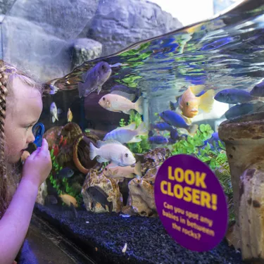 Sealife Hunstanton 027