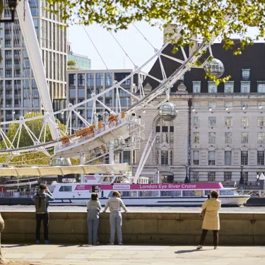 22747 London Eye 1A Wheel 015 Rgb N 2 (1)